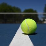 sport, tennis, ball-3068038.jpg